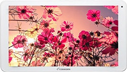 Codegen  Q7 Plus 8 GB 7" Tablet