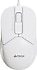 A4 Tech  FM12 Beyaz Optik Kablolu Mouse