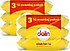 Dalin  56 Yaprak 6'lı Paket Islak Mendil