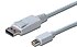 Digitus  AK-340102-010-W 1 m DisplayPort to Mini DisplayPort Dönüştürücü