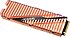 Gigabyte  Aorus GP-ASM2NE6100TTTD PCI-Express 4.0 1 TB M.2 SSD