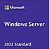 HP  P46171-A21 Windows Server 2022 Standart İşletim Sistemi