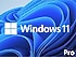 Microsoft  Windows 11 Pro FQC-10556 TR İşletim Sistemi