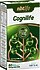 Nbt Life  Cognilife 60 Kapsül