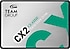 Team  CX2 T253X6001T0C101 SATA 3.0 2.5" 1 TB SSD