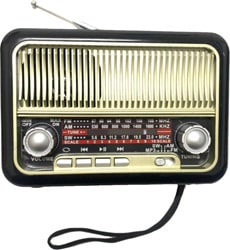 Everton  RT-308 Bluetooth USB SD Aux Şarjlı Nostaljik Radyo