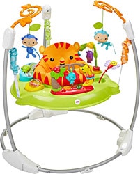 Fisher Price  Yağmur Ormanı Jumperoo CHM91