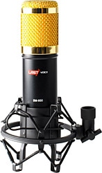 Lastvoice  BM800 Youtuber Mikrofon