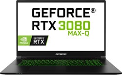 Monster  Tulpar T7 V23.1 i7-10870H 16 GB 500 GB SSD RTX3080 17.3" Full HD Gaming Laptop