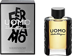 Salvatore Ferragamo  Uomo EDT 100 ml Erkek Parfüm