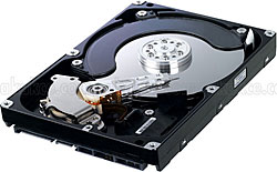 Samsung  1 TB HD103SI Hard Disk