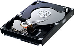 Samsung  1 TB HD103UJ Hard Disk