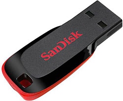 SanDisk  Cruzer Blade SDCZ50-032G-B35 32 GB Flash Bellek