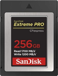 SanDisk  Extreme Pro 256 GB 1700 MB/s SDCFE-256G-GN4NN CFexpress Kart