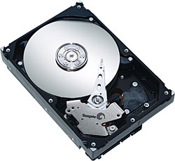 Seagate  BarraCuda ST3320613AS SATA 3.0 7200 RPM 3.5" 320 GB Harddisk