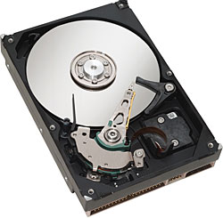 Seagate  Momentus 160 GB ST9160310AS Hard Disk